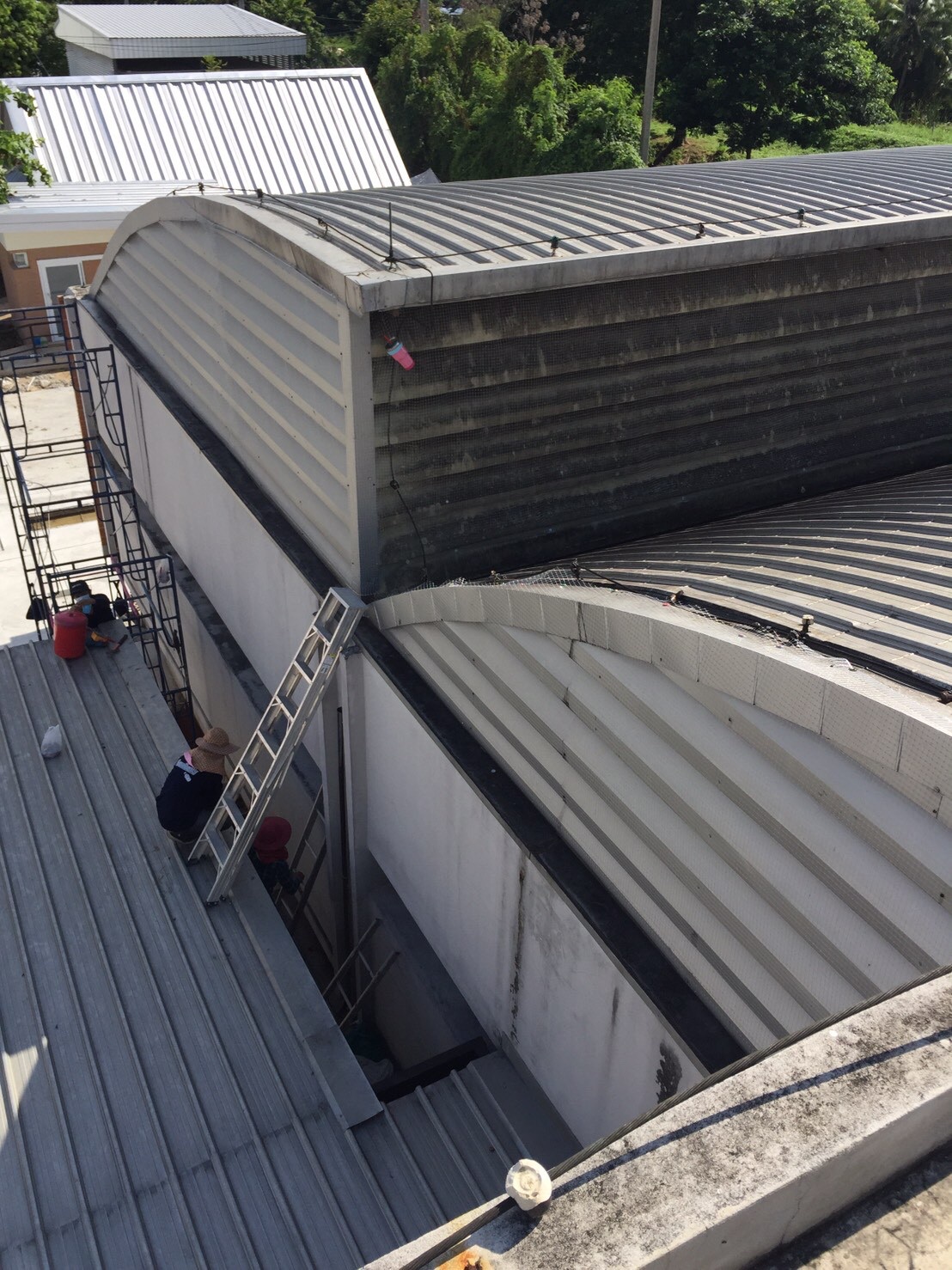 งานติดตาข่ายกันนก ตึกกายวิทยาทาน มหาวิทยาลัยมหิดล