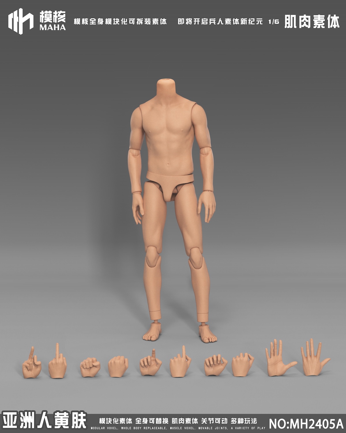 [สั่งจอง] MAHA studio 1/6 : muscle body