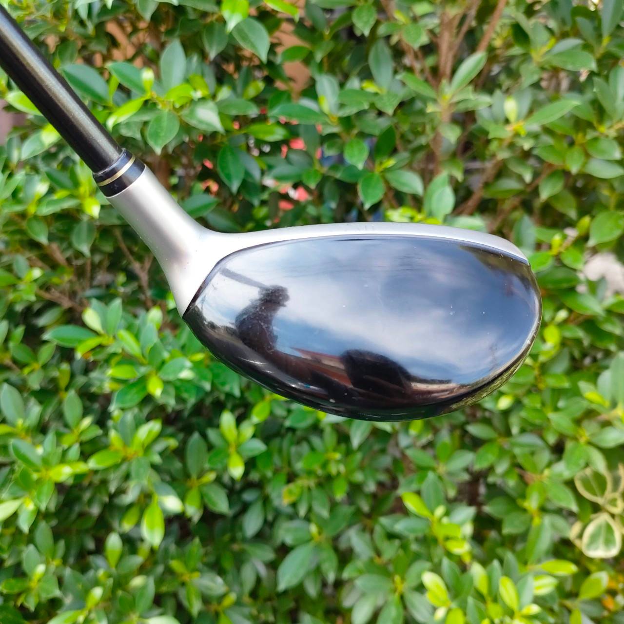 HYBRID 5 SRIXON AD ก้าน SV-3000 FLEX R องศา 24 MADE IN JAPAN ตีง่ายแม่นธง ใช้แทนเหล็กยาวได้เลยครับ