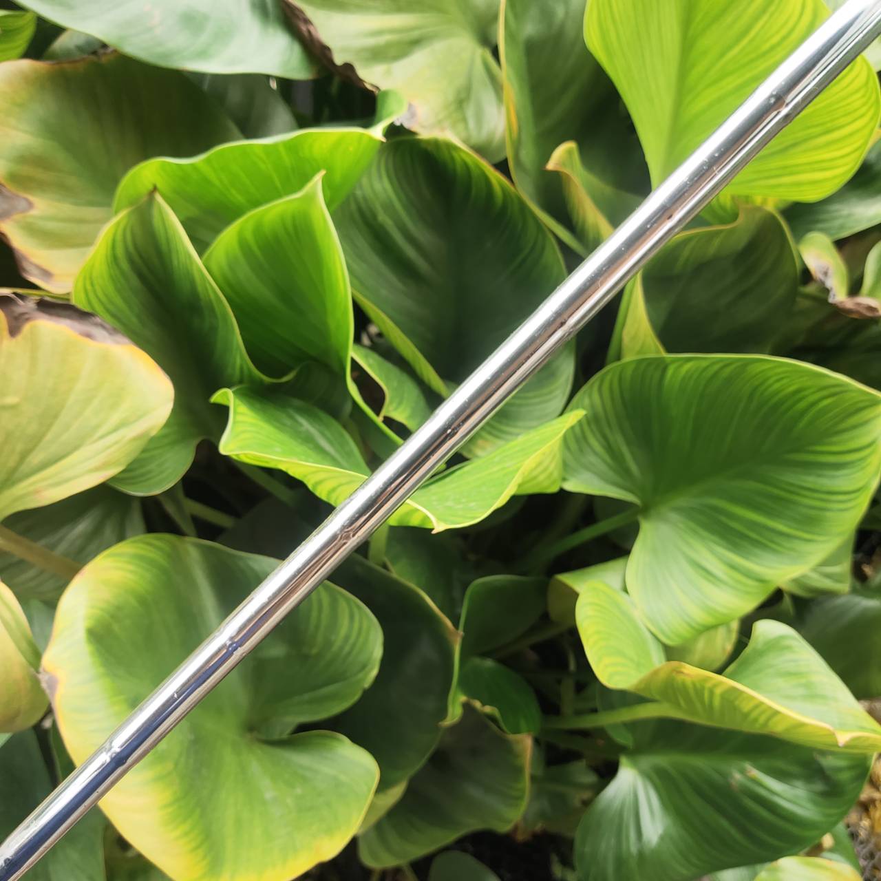 WEDGE CLEVELAND CG14 ZIP GROOVES ร่องสี่เหลี่ยมเหมือนซิป โหดที่สุด เจาะลึก หยุดสนิท! ไม่มีอีกแล้ว!