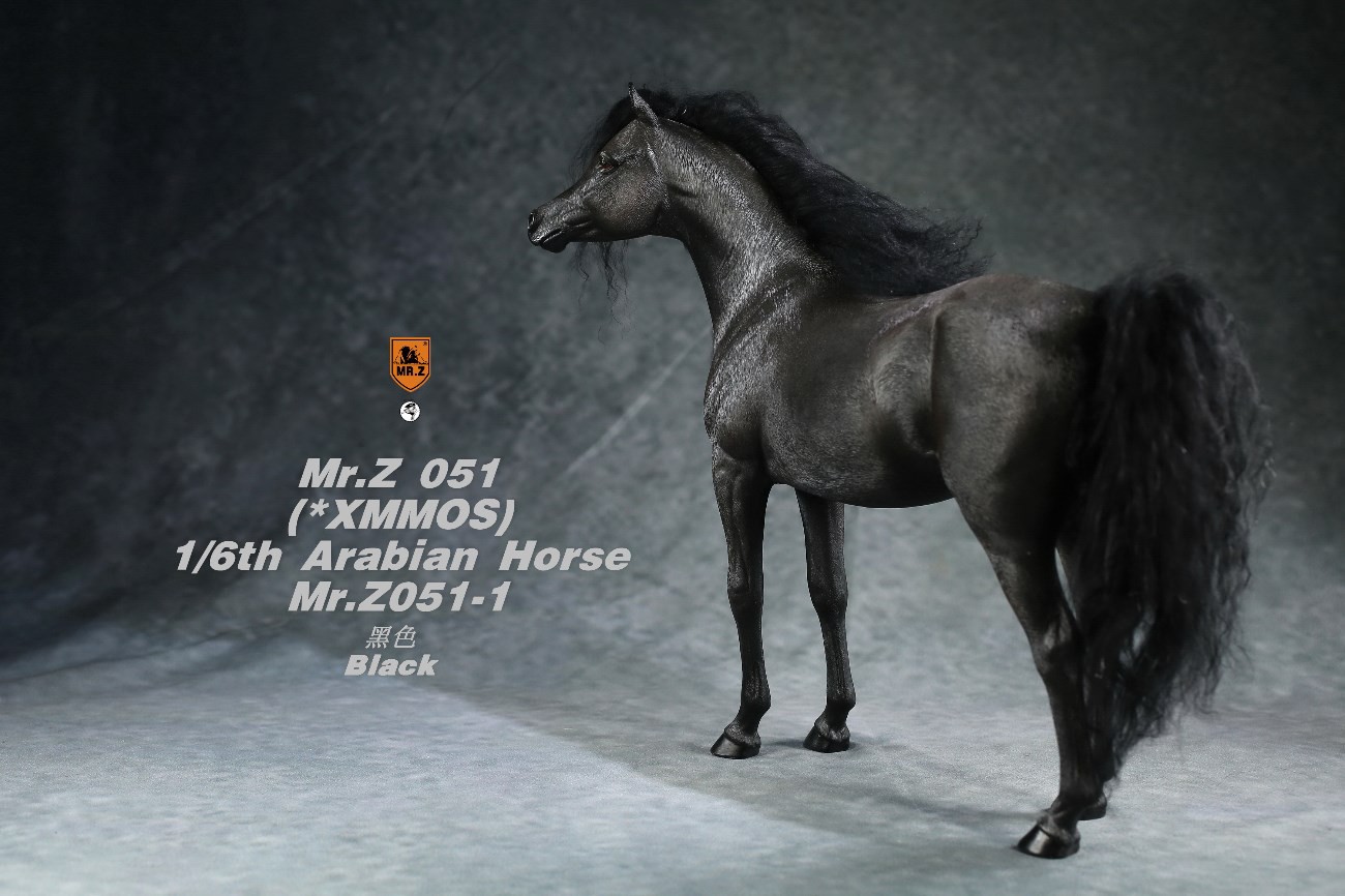 [สั่งจอง]Mr.Z MRZ051 1/6 animal model : Arabian Horse