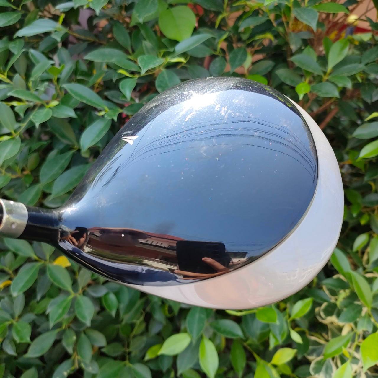 DRIVER NIKE SQ 460 องศา 9.5 ก้าน DIAMANA SASQUARCH FLEX S หัวใหญ่ ชดเชยความผิดพลาดได้สูง ตีตรงมาก ก้านดีมาก รีดระยะเต็มๆ