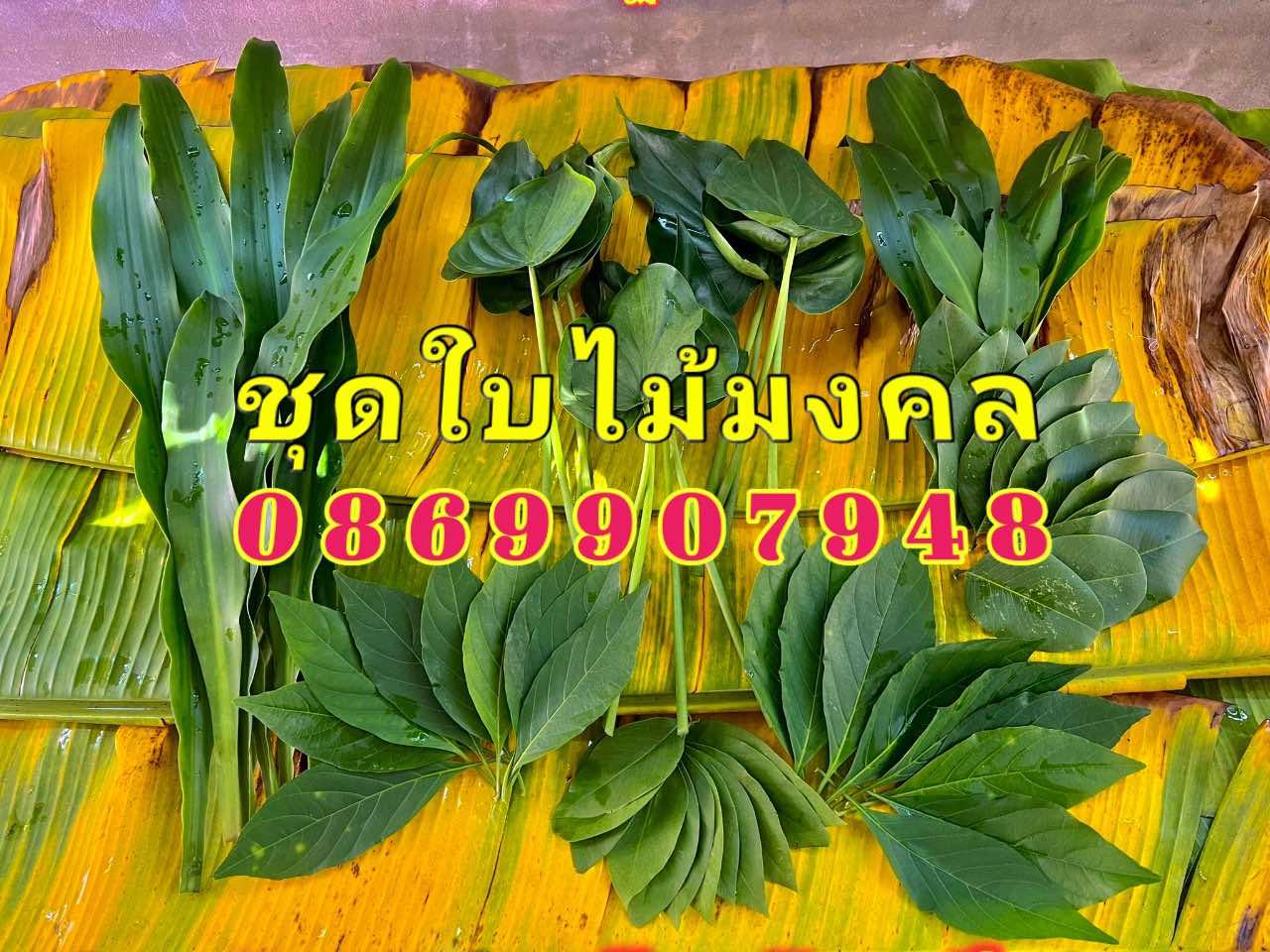 ชุดใบไม้มงคล9ชนิด