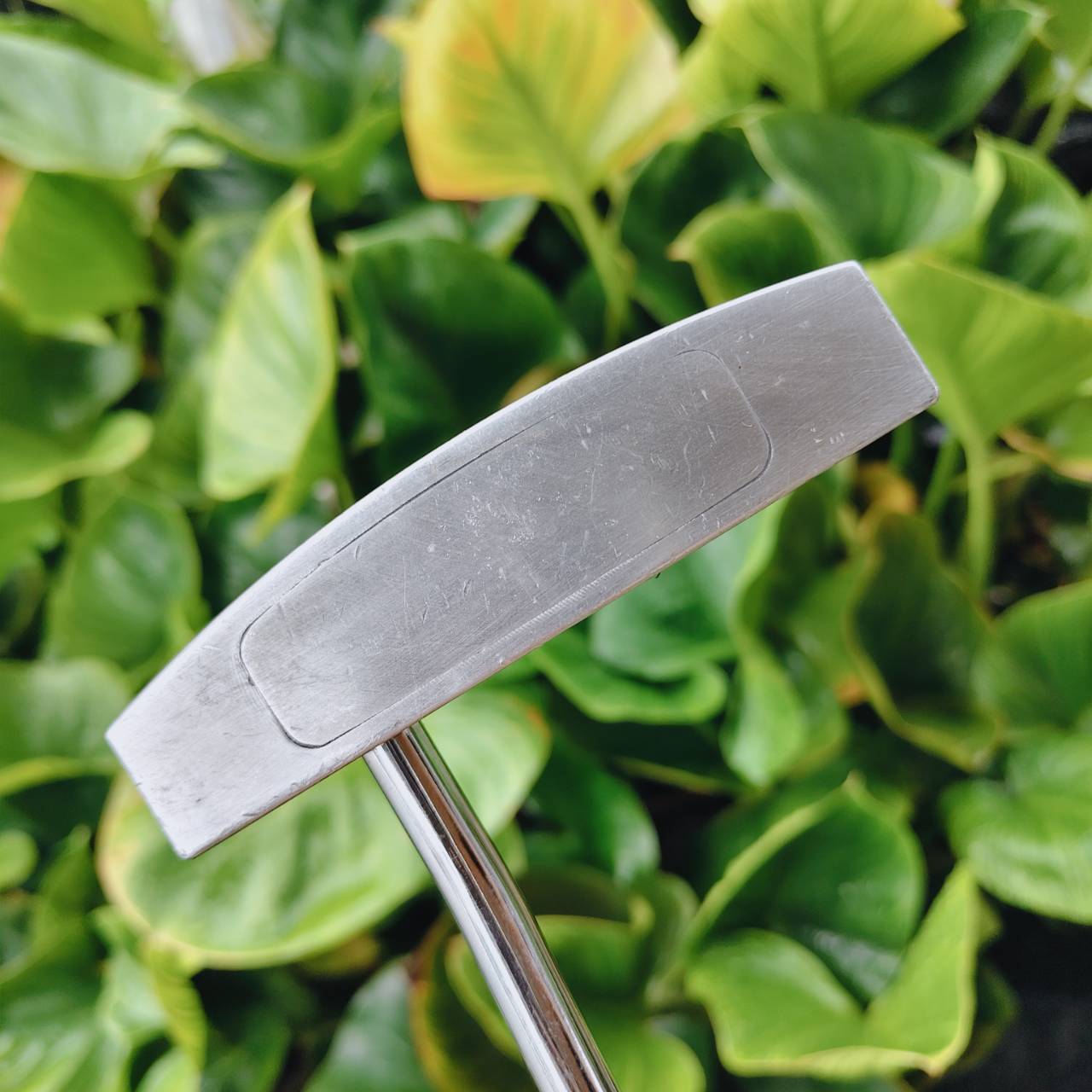 PUTTER Bridgestone TOURSTAGE ViQ TF-4 ให้ ความแม่นยำ ความเสถียร และความรู้สึกที่ยอดเยี่ยม ขณะพัตต์