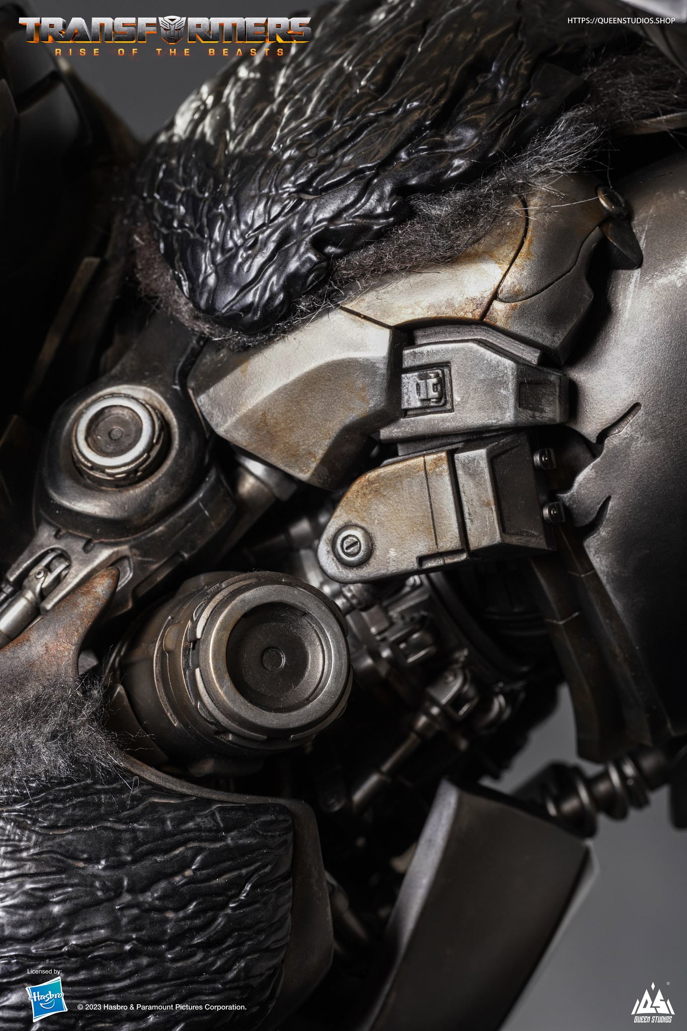 [สั่งจอง] Queen Studios : Optimus Primal (Transformers : Rise of the Beasts)