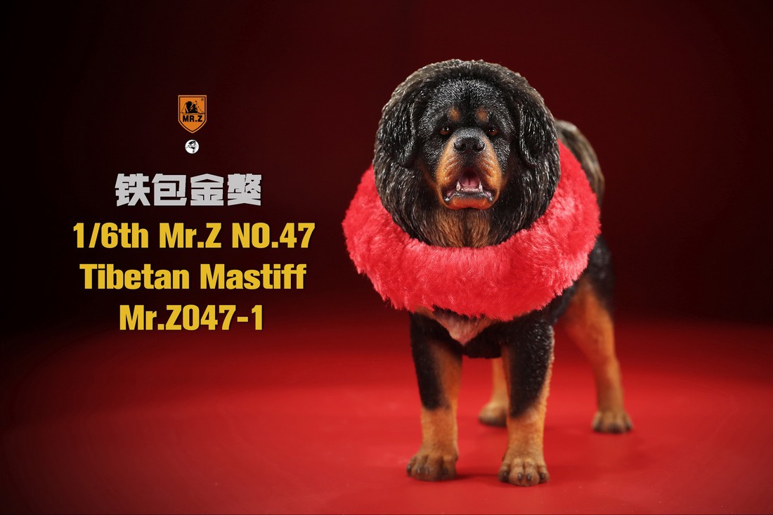 [สั่งจอง] MR. Z Animal Model MRZ047 1/6th Tibetan Mastiff