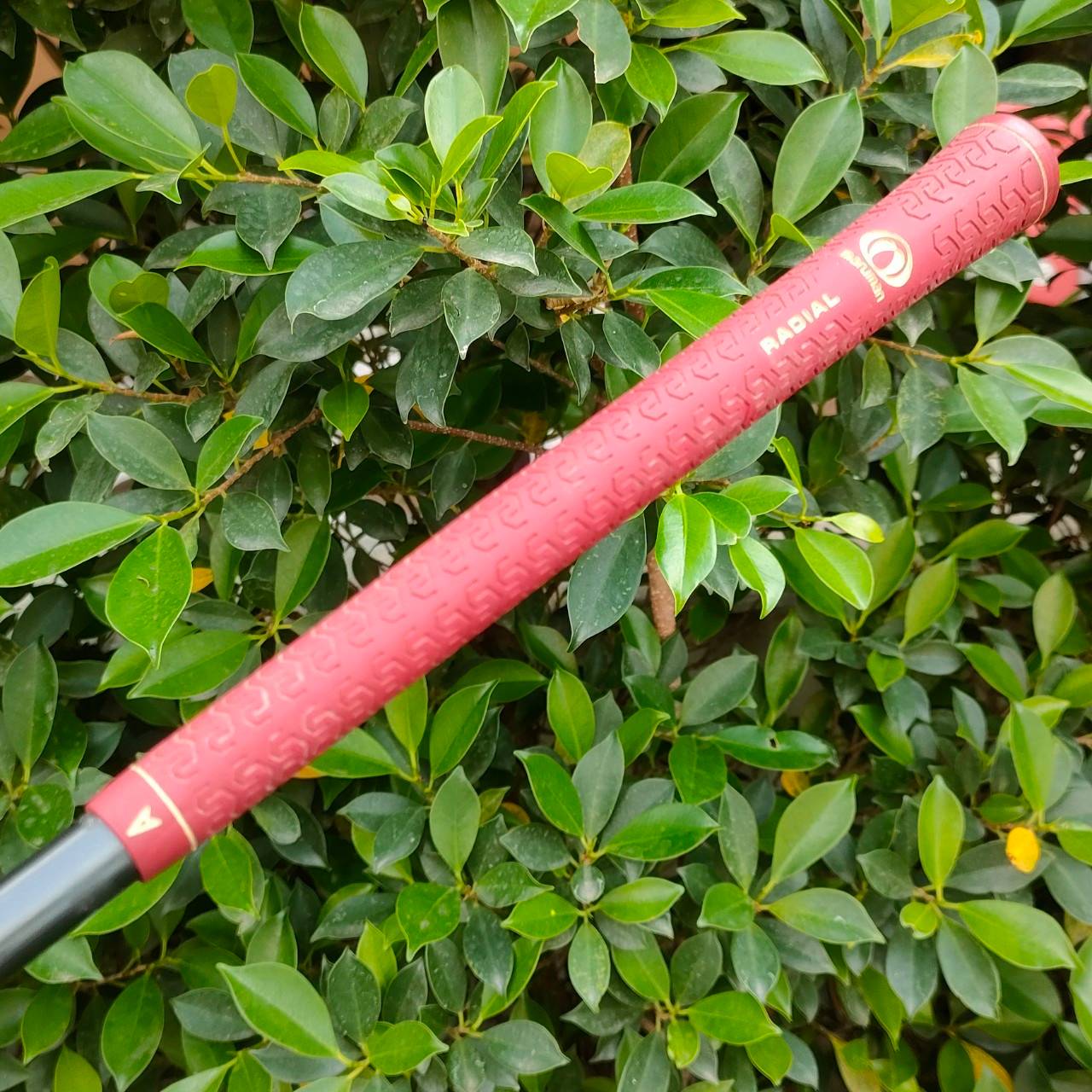 ** ไม้กอล์ฟสำหรับผู้หญิง ** ชุดเหล็ก MARUMAN BINDIA CUP SPSS มีเหล็ก 5-9 เเละ PW SW ก้าน COBALT CARBON FLEX L