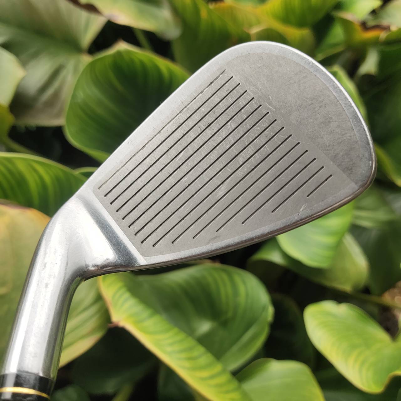 ชุดเหล็ก XXIO PRIME พรีเมี่ยมสูงสุดของ XXIO แพงกว่ารุ่นปกติ 1 เท่า แผ่นหน้าเด้งในหัวเหล็ก