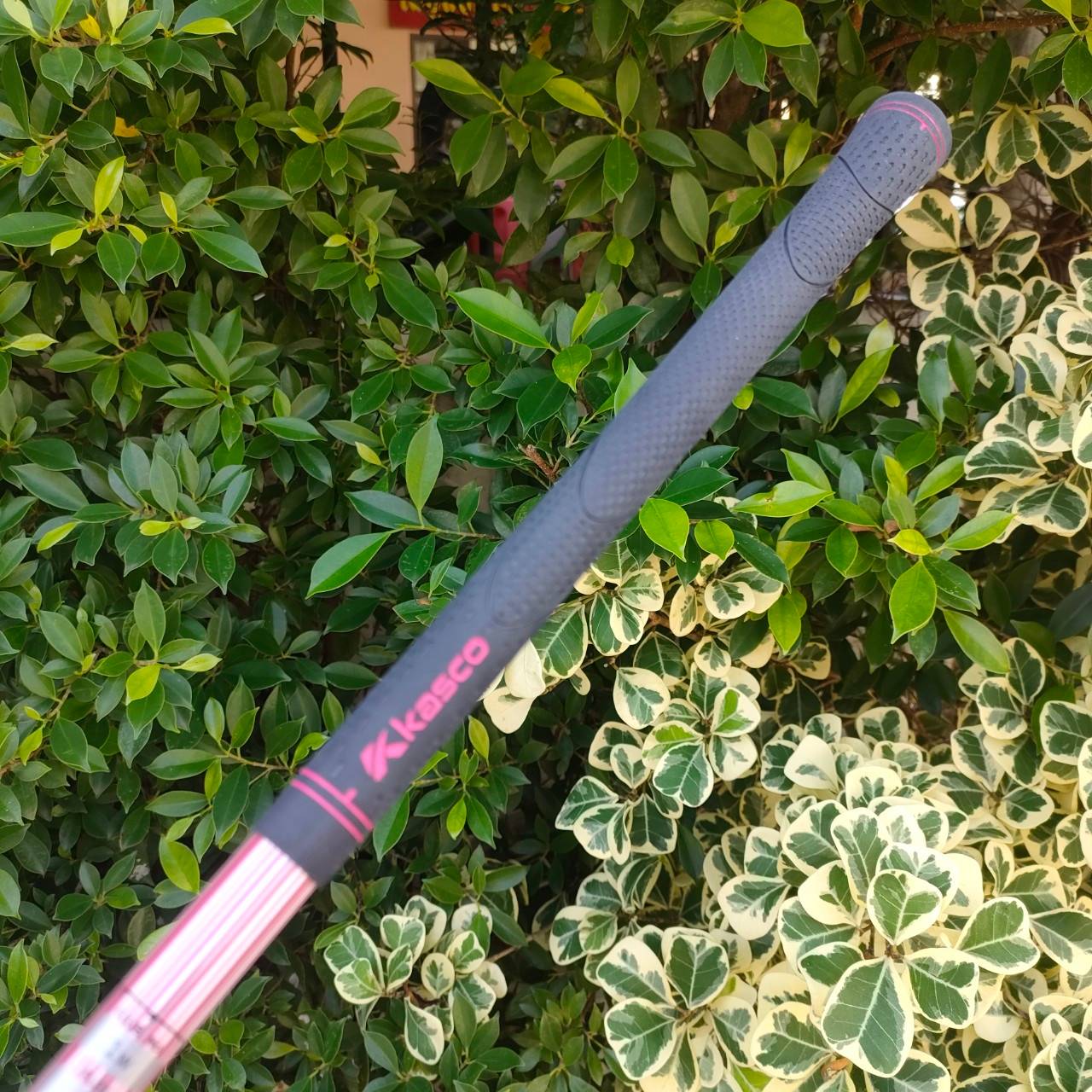 **ไม้กอล์ฟสำหรับผู้หญิง** รุ่นใหม่และยอดนิยมสูงสุด!! SET KASCO DIMPALS G7 LADY สภาพสวยนางฟ้า ชุดกอล์ฟพรีเมี่ยมญี่ปุ่น!! ไม้กอล์ฟมือสอง ของแท้ BY NakaraLuxurious