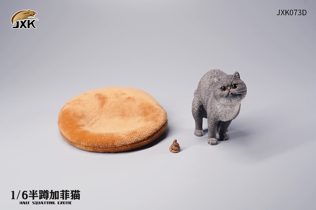 [สั่งจอง]JXK JXK073 ABCD 1/6 : Half squatting ExoticShorthair