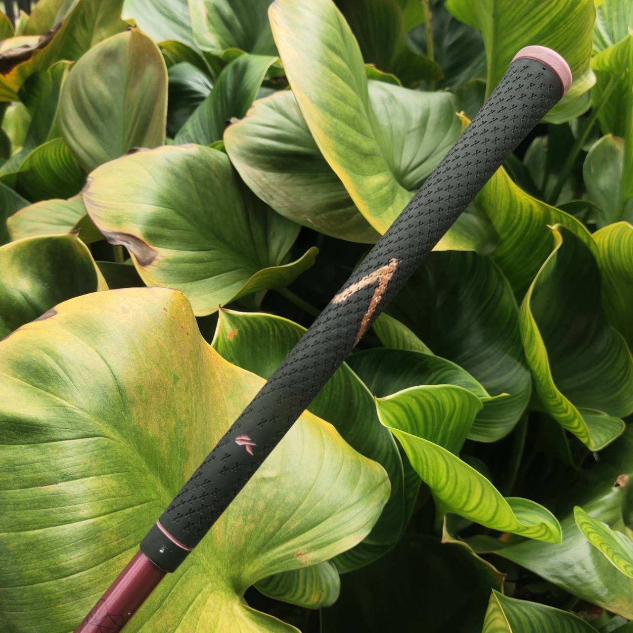 KASCO D-MAX PYRA LADY 11.5° Driver สำหรับคุณผู้หญิงที่อยากตีไกลขึ้นแบบ effortless!