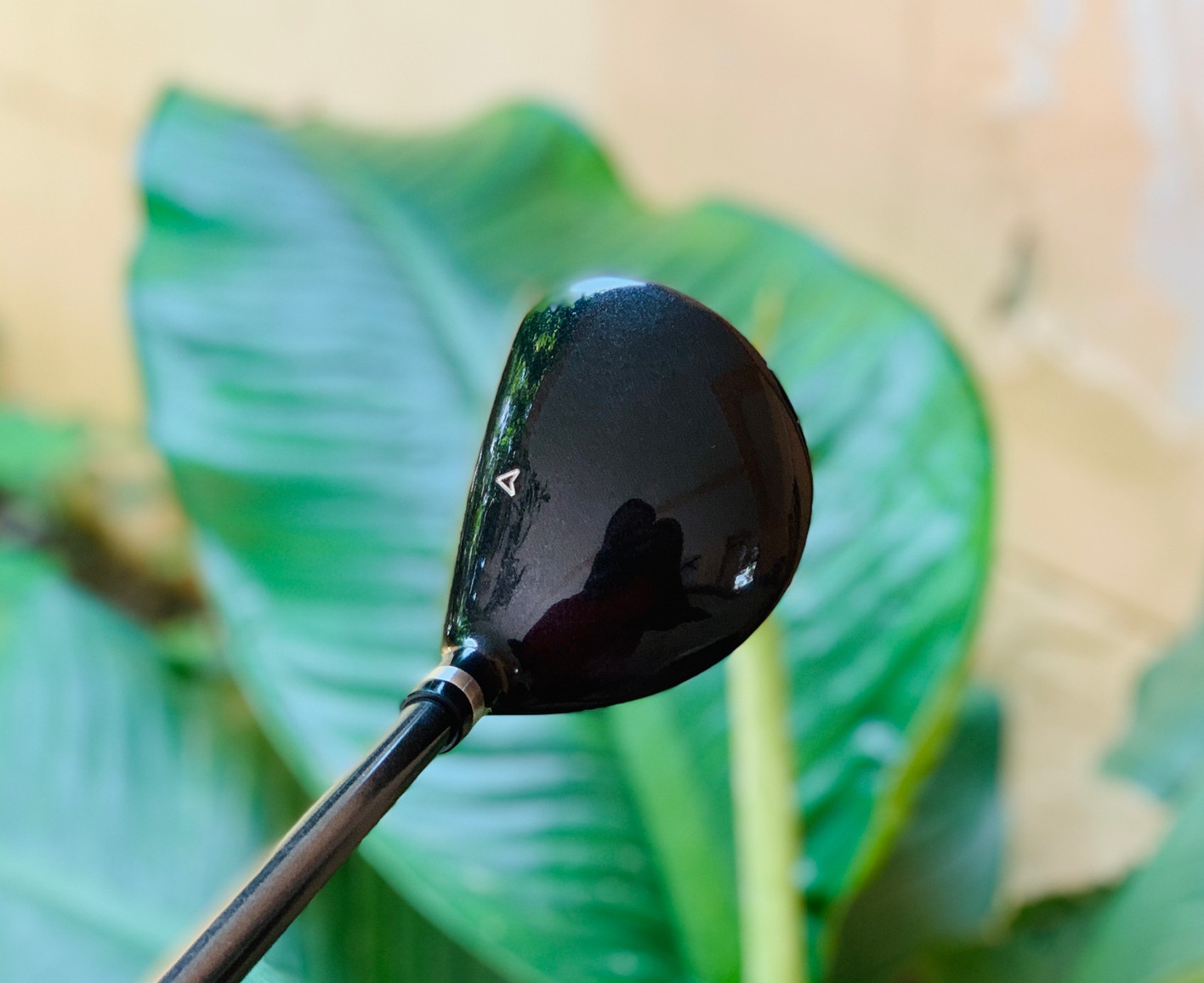 FAIRWAY 5 WILSON องศา 19