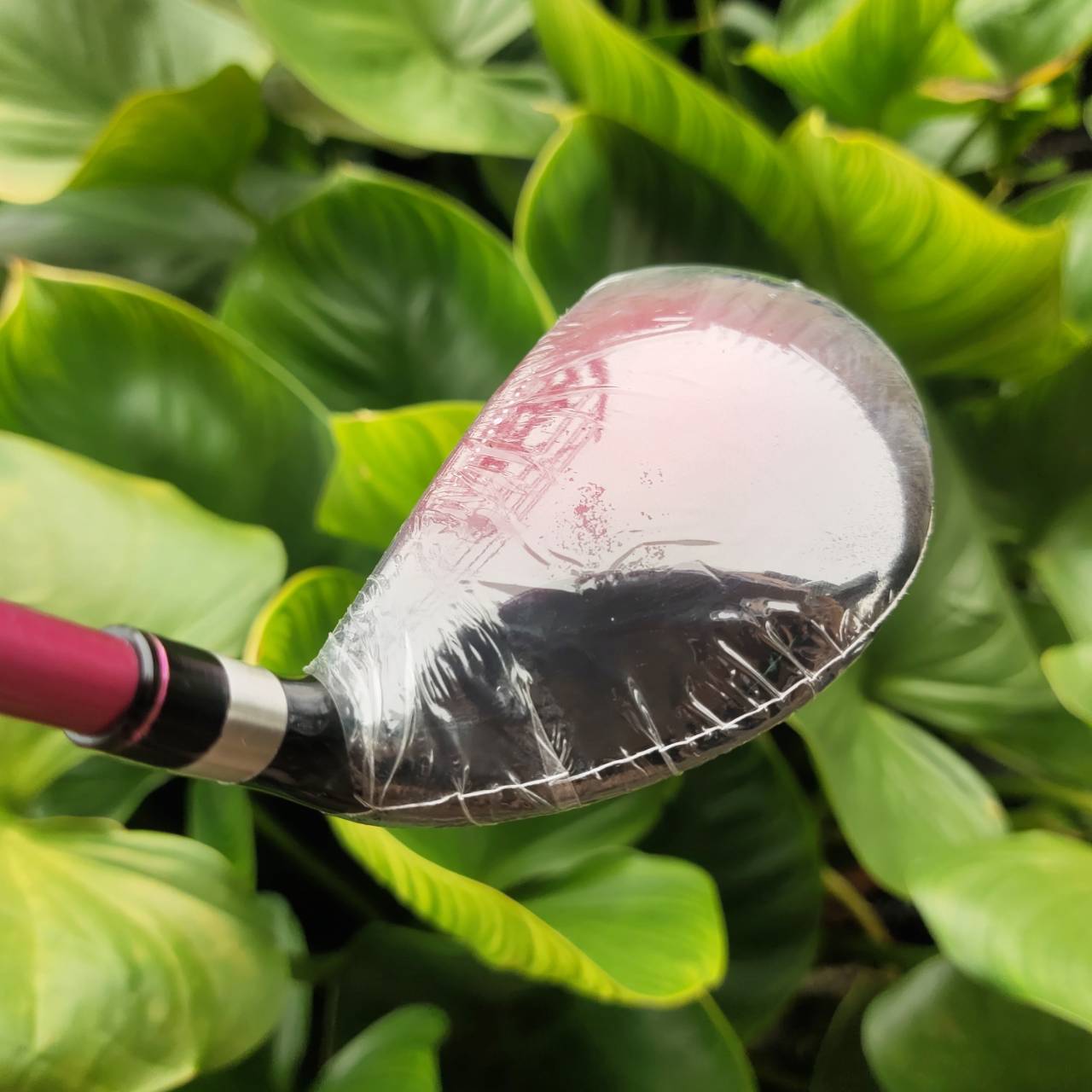 KASCO FEREINA ชุดไม้กอล์ฟระดับพรีเมียมสำหรับสุภาพสตรี เบา ตีง่าย ดีไซน์สวยงามจากประเทศญี่ปุ่น