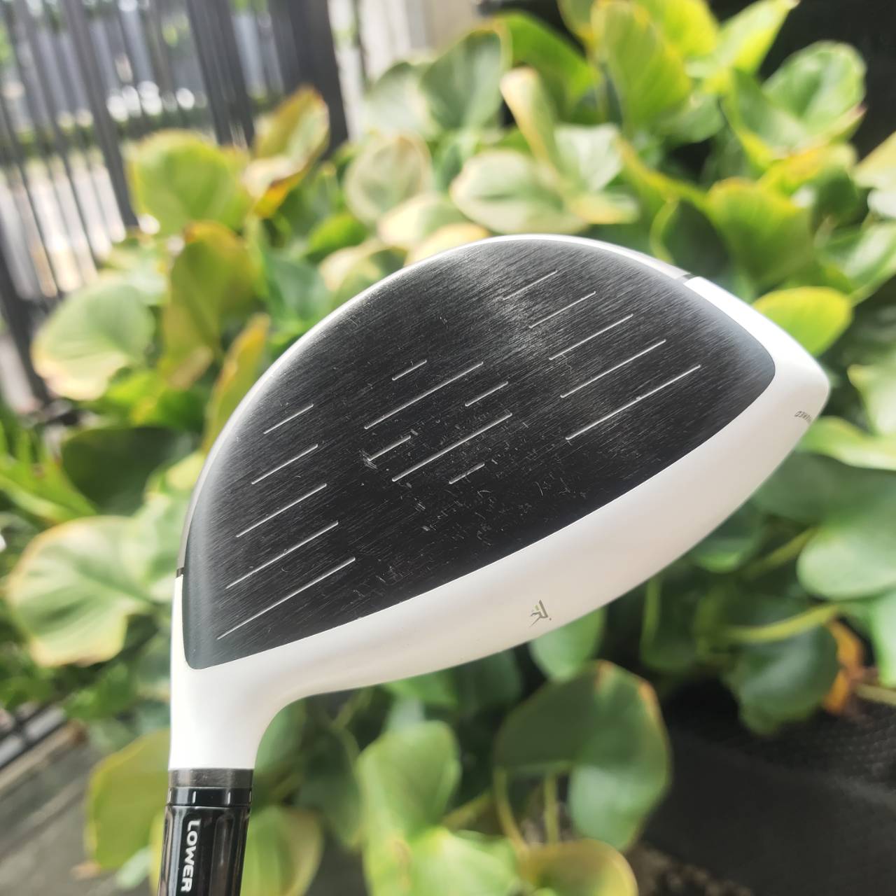 DRIVER TAYLORMADE RBZ องศา 10.5หัวขาว หน้าดำ หน้ากว้างมาก หัวใหญ่ ตีไกลมาก