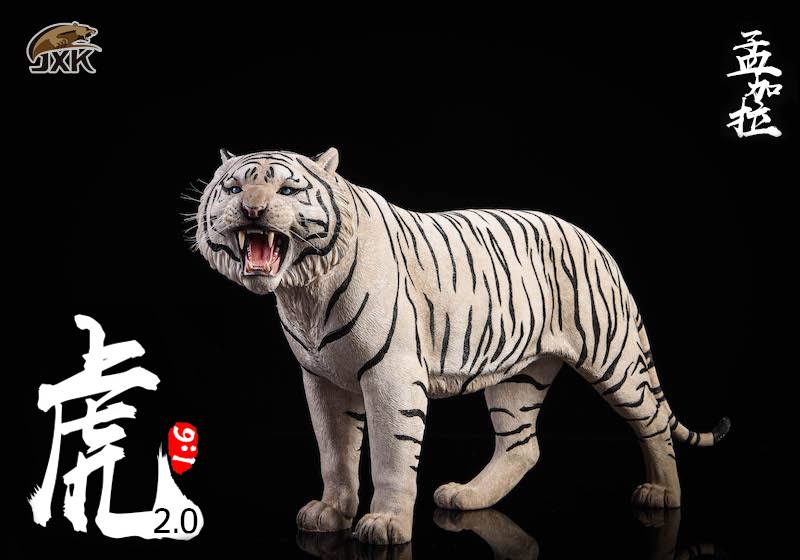 [สั่งจอง]JXK.Studio 1/6 JXK020A yellow Bengal tiger & JXK020B white Bengal tiger