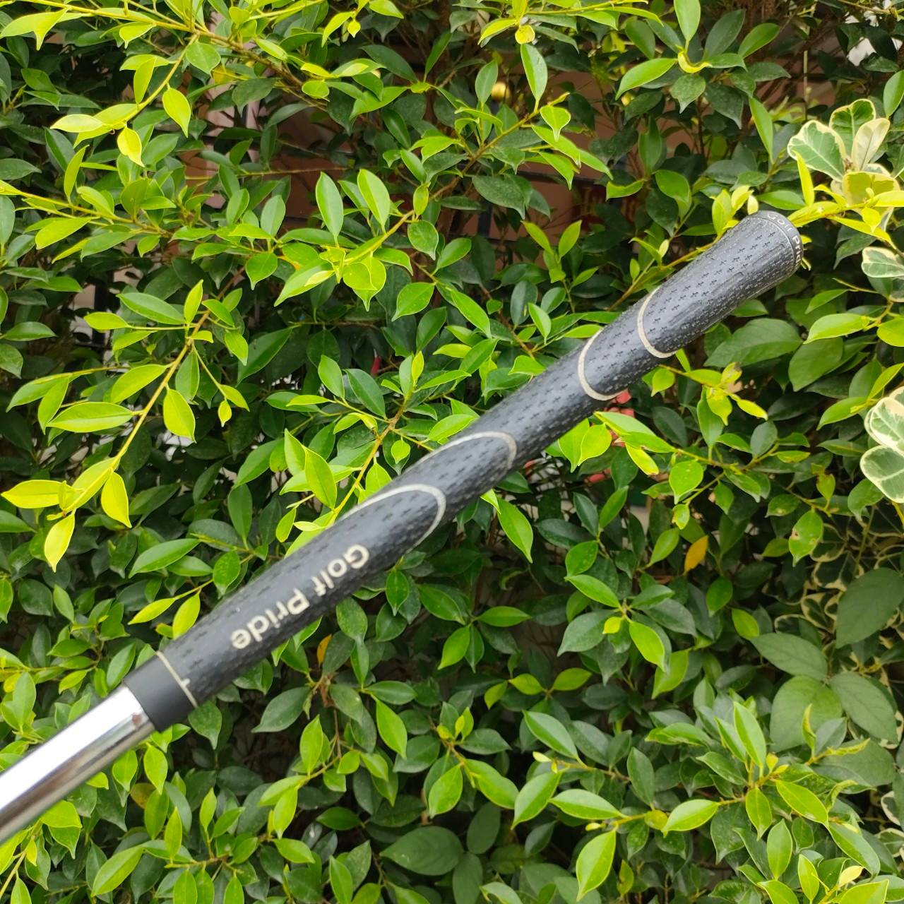 SW TOURSTAGE X5000 ก้าน TOUR FLIGHTEED FCM 6.5 เหล็ก FORGED พรีเมี่ยมญี่ปุ่น องศา 56 ก้านแม่นๆของดีมากๆครับ