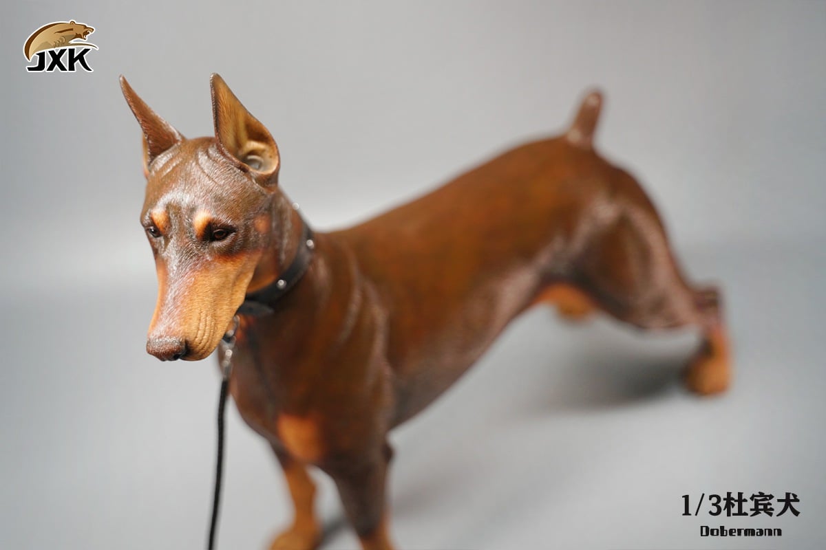 [สั่งจอง]JXK X32102 1/3 : Doberman Animal Model