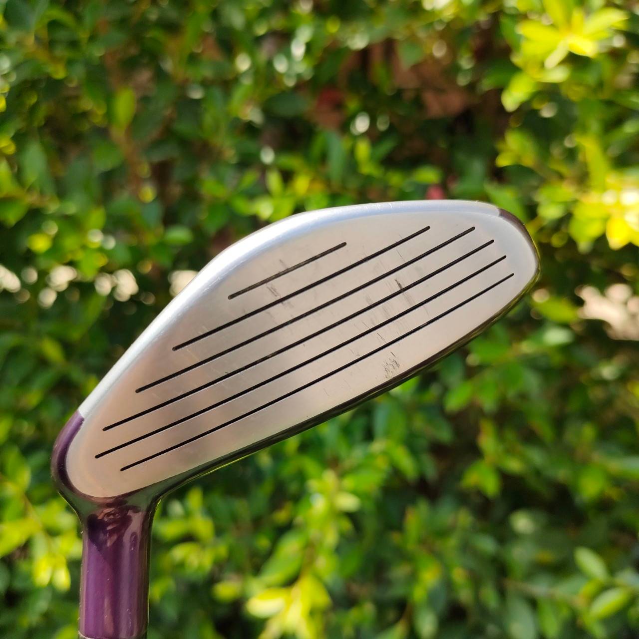 ** ไม้กอล์ฟสำหรับผู้หญิง ** HYBRID 7 KASCO DIMPALS องศา 28 ก้าน KASCO DIMPALS FLEX L รุ่นนี้เป็นรุ่นใหม่นะครับ ตีง่ายมาก เสียงใสด้วย