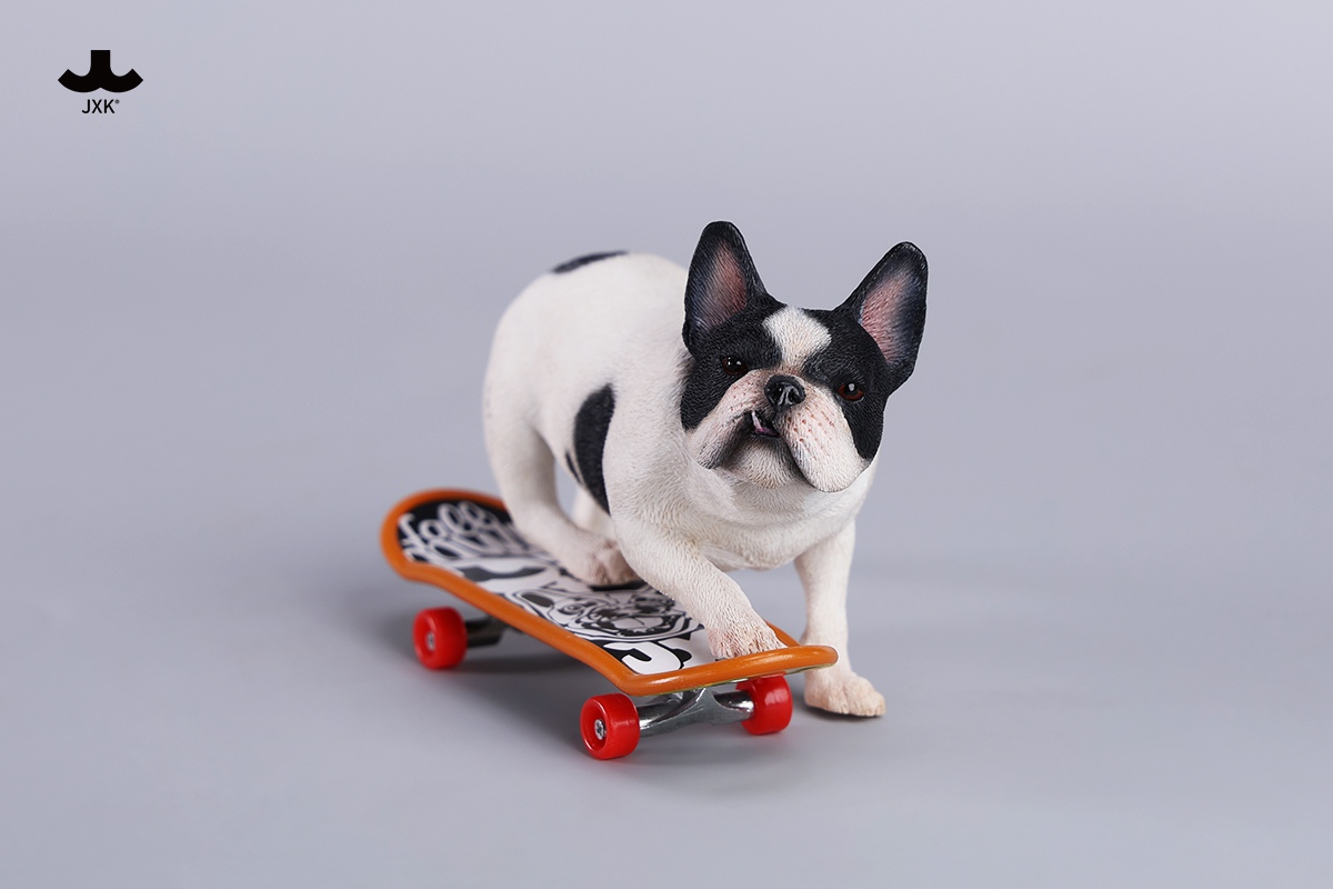 [สั่งจอง] JXK 1/6 : Skateboarding French Bulldog
