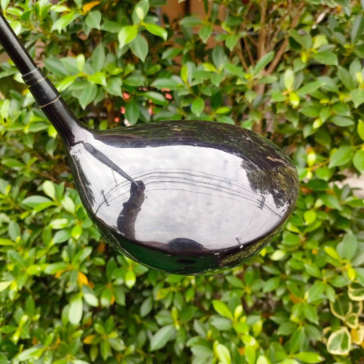DRIVER WILSON 1200 TR ก้าน 1200 TR FLEX R องศา 10.5 ตีง่าย น้ำหนักเบา ตีตรงครับ .