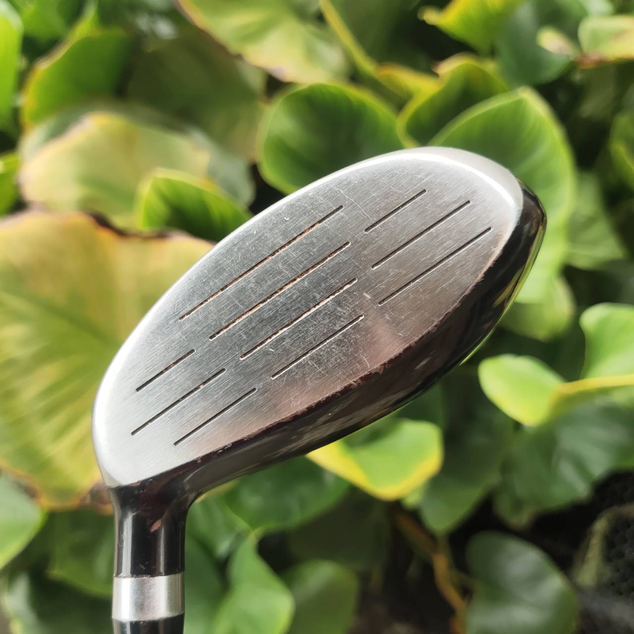 3W WILSON DEEP RED PF MAS-1C | Loft 15° | Flex R ไม้แฟร์เวย์ตีง่ายมากๆ สำหรับนักกอล์ฟทุกระดับ!