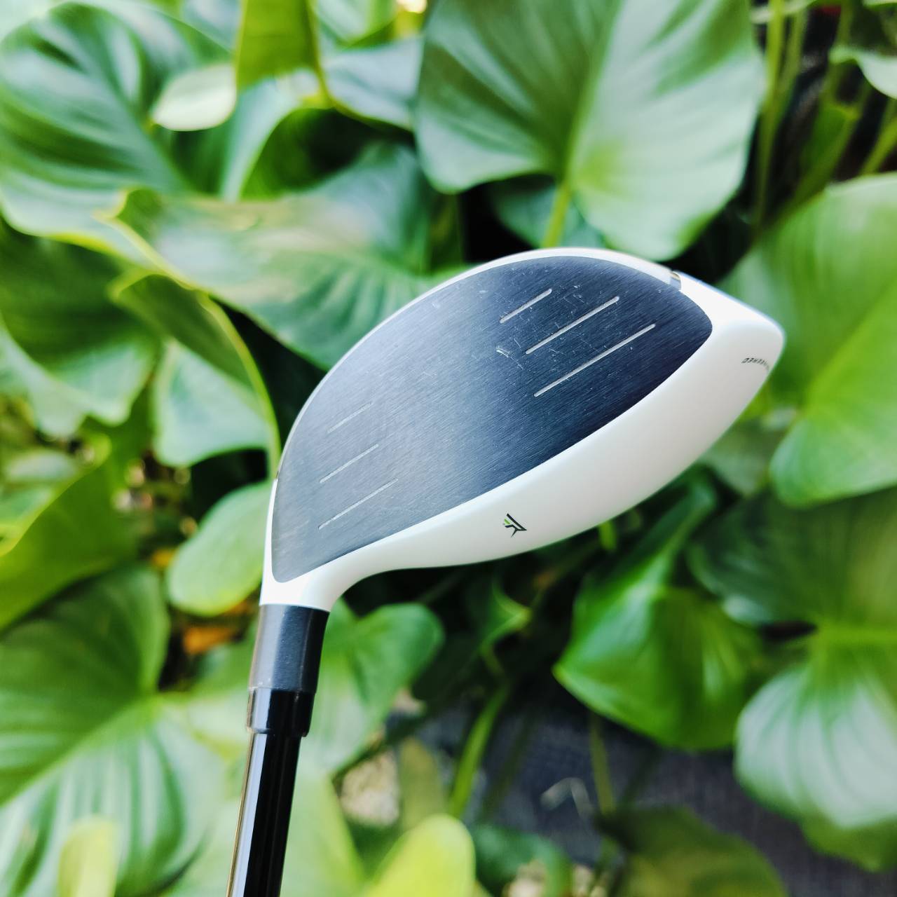 FW 5 TAYLORMADE RBZ สภาพสวย ก้าน SPEED ENGINEERED FLEX S หัวตีง่ายและเด้งมากด้วยร่องหน้าไม้พิเศษ ไม้กอล์ฟพรีเมี่ยมมือสอง ของแท้ By NakaraLuxurious
