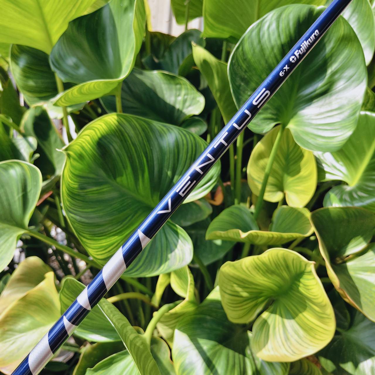 FUJIKURA VENTUS 6X – ก้านระดับทัวร์โปรที่ให้ทั้งพลัง ความแม่น และฟีลลิ่งแน่นสุดยอด!