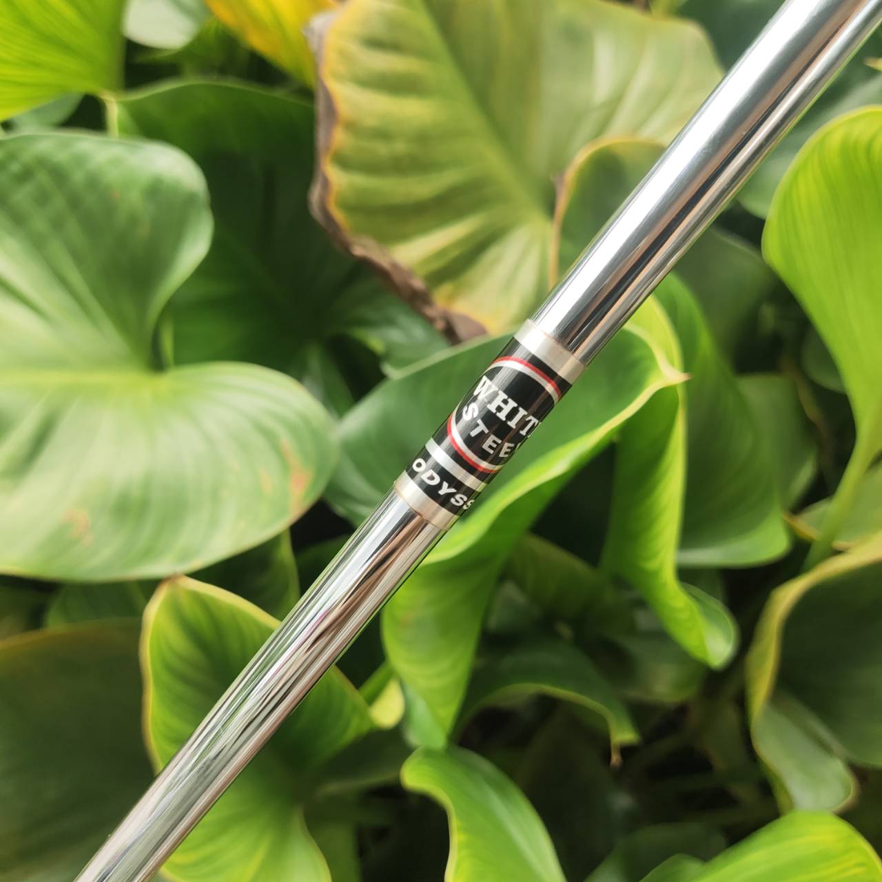 PUTTER ODYSSEY 2-BALL WHITE STEEL – 34” ⛳️ หน้าสัมผัสนุ่ม และเกาะไลน์แบบขั้นเทพ!