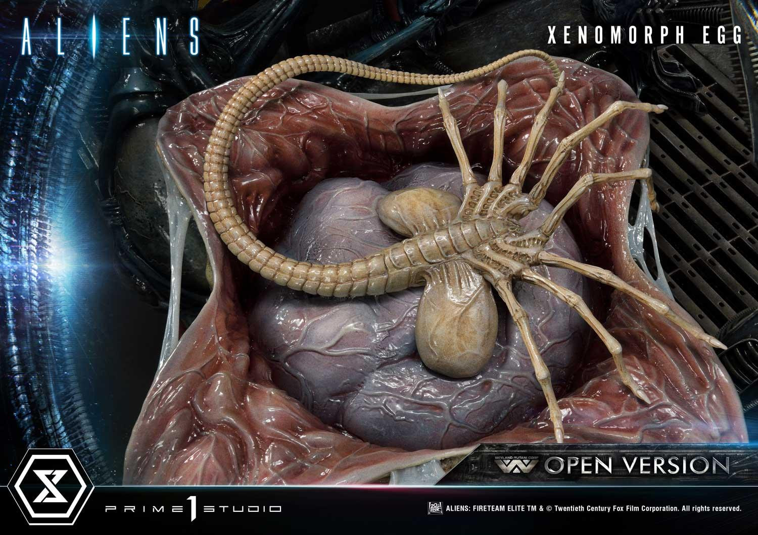 [สั่งจอง]Prime 1 Studio : Xenomorph Egg (Aliens Comics)