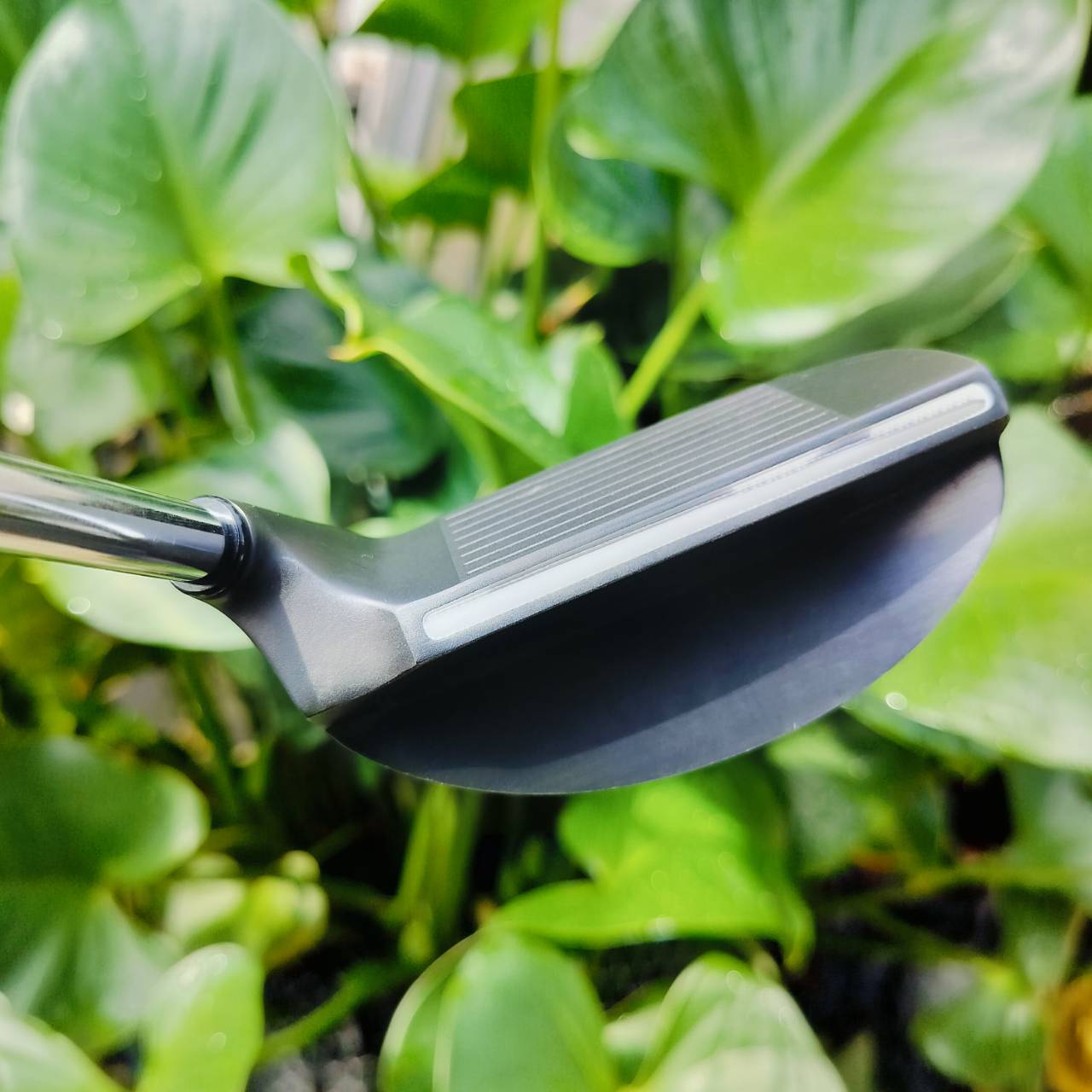 CHIPPER PRGR R-35 WEDGE งานพรีเมี่ยมญี่ปุ่น วัสดุสุดพรีเมี่ยม เล่นข้างกรีน ชิพแอนด์รัน หวังผล เล็งไลน์ดีๆ มีโอกาสมากกว่าใช้ WEDGE ออกแบบได้ดีกว่า CHIPPER ทั่วไป ไม้กอล์ฟพรีเมี่ยมมือสอง ของแท้ By NakaraLuxurious