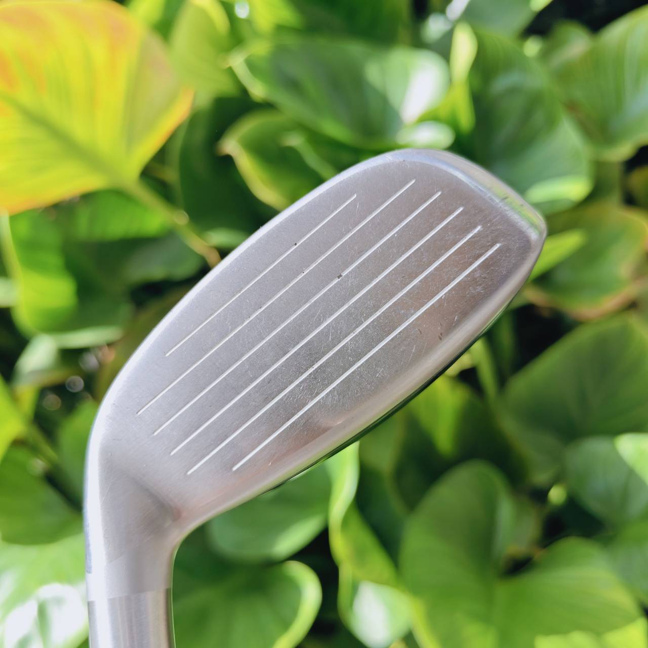 HYBRID Cleveland Launcher DST ออกแบบหัวให้ Confidence สูง รูปทรงดั้งเดิม ดูแล้วมั่นใจเวลายืน Setup