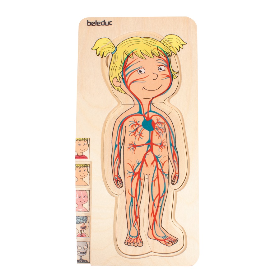 ชุดเกมปริศนา-ร่างกายเด็กหญิง , ของเล่นไม้, ของเล่นเสริมพัฒนาการ, ของเล่นเด็ก, สื่อการสอนเด็ก