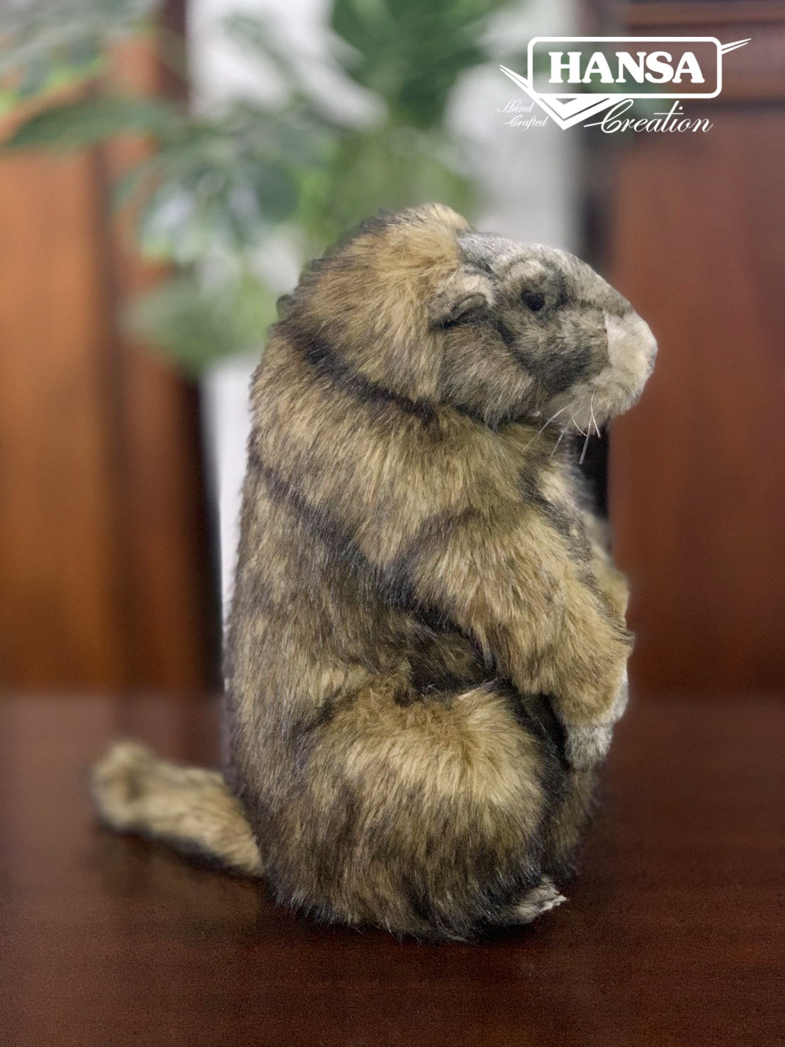 6749 Marmot 34cm.H - ตุ๊กตามาร์มอต