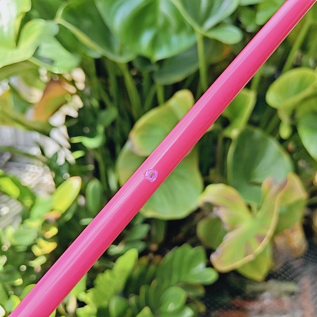 💗 PING G™ Limited Edition – Pink Driver 💗 องศา 9° (ปรับได้ ±1°) | ก้าน SPEEDER