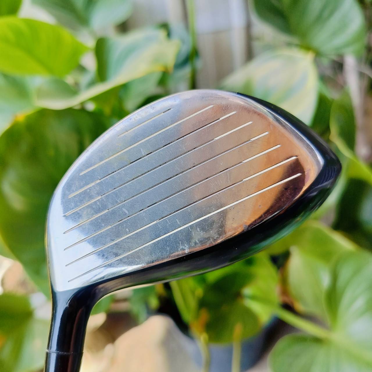 Driver KASCO DNA หน้าเด้งญี่ปุ่น!!! องศา 9 วัสดุ S-AGING TITANIUM ก้าน FUJIKURA Z-COM BT35 FLEX X ก้านเบาญี่ปุ่น ประมาณ S อเมริกาค่ะ สำหรับท่านที่ชอบไม้ที่ตีมันส์ๆ ไม้กอล์ฟพรีเมี่ยมมือสอง ของแท้ By NakaraLuxurious