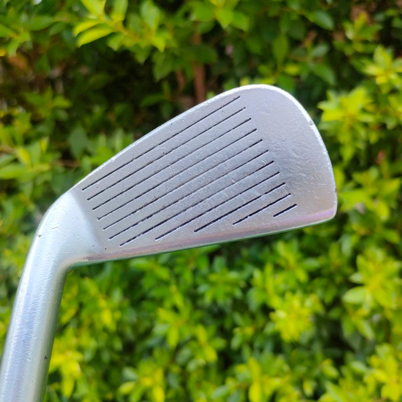 ชุดเหล็ก HONMA CL608 มีเหล็ก 5-10 11 ก้านกราไฟต์ HIRO HONMA แท้สุดยอดเหล็ก FORGED JAPAN SAKATA ไม้กอล์ฟมือสอง ของแท้ BY NakaraLuxurious