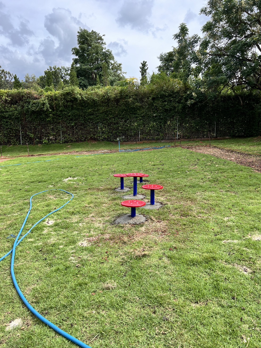 ทางเดินต่างระดับ Stepping Paw เครื่องเล่นสนามเด็ก เครื่องเล่นสุนัข ของเล่นหมา ฝึกสุนัข ฝีกทรงตัวเด็ก