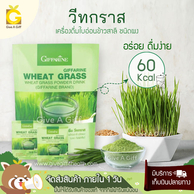 Wheat Grass (วีทกราส) เครื่องดื่มใบอ่อนข้าวสาลี เครื่องดื่มเพื่อการดูแลสุขภาพ