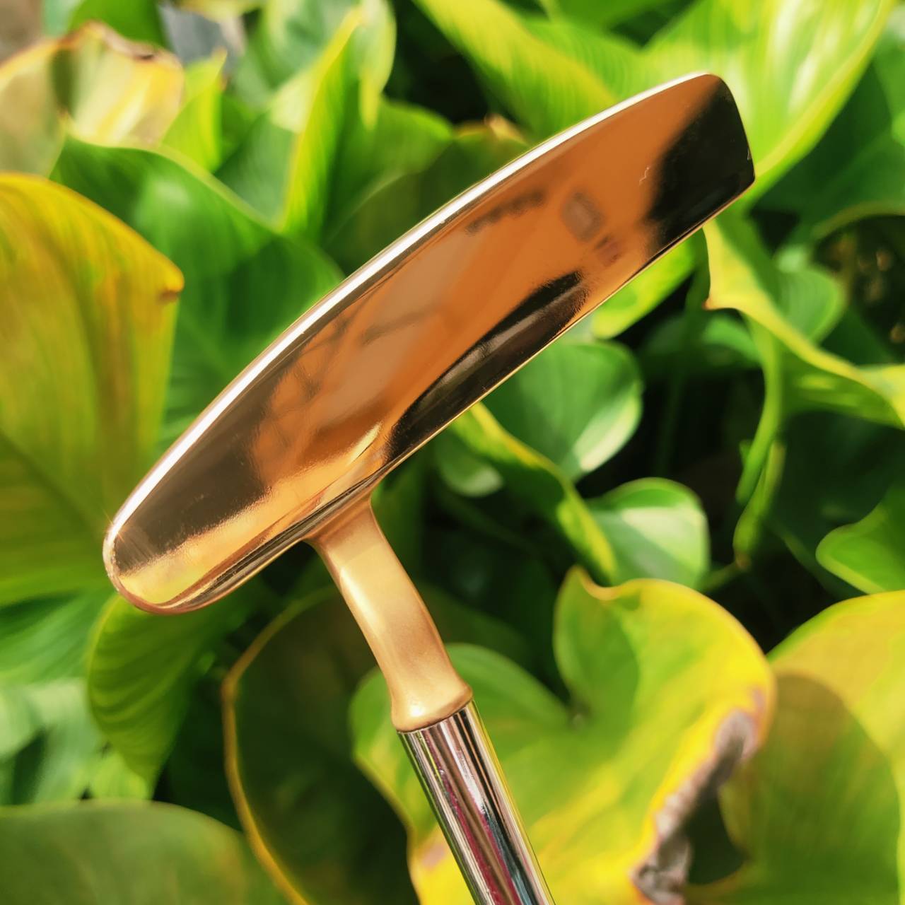 PUTTER PING ZING 2 – ทองแดงแท้ BECU (Beryllium Copper) ทั่วโลกต้องการ! ที่ญี่ปุ่นราคาทะลุหมื่น!