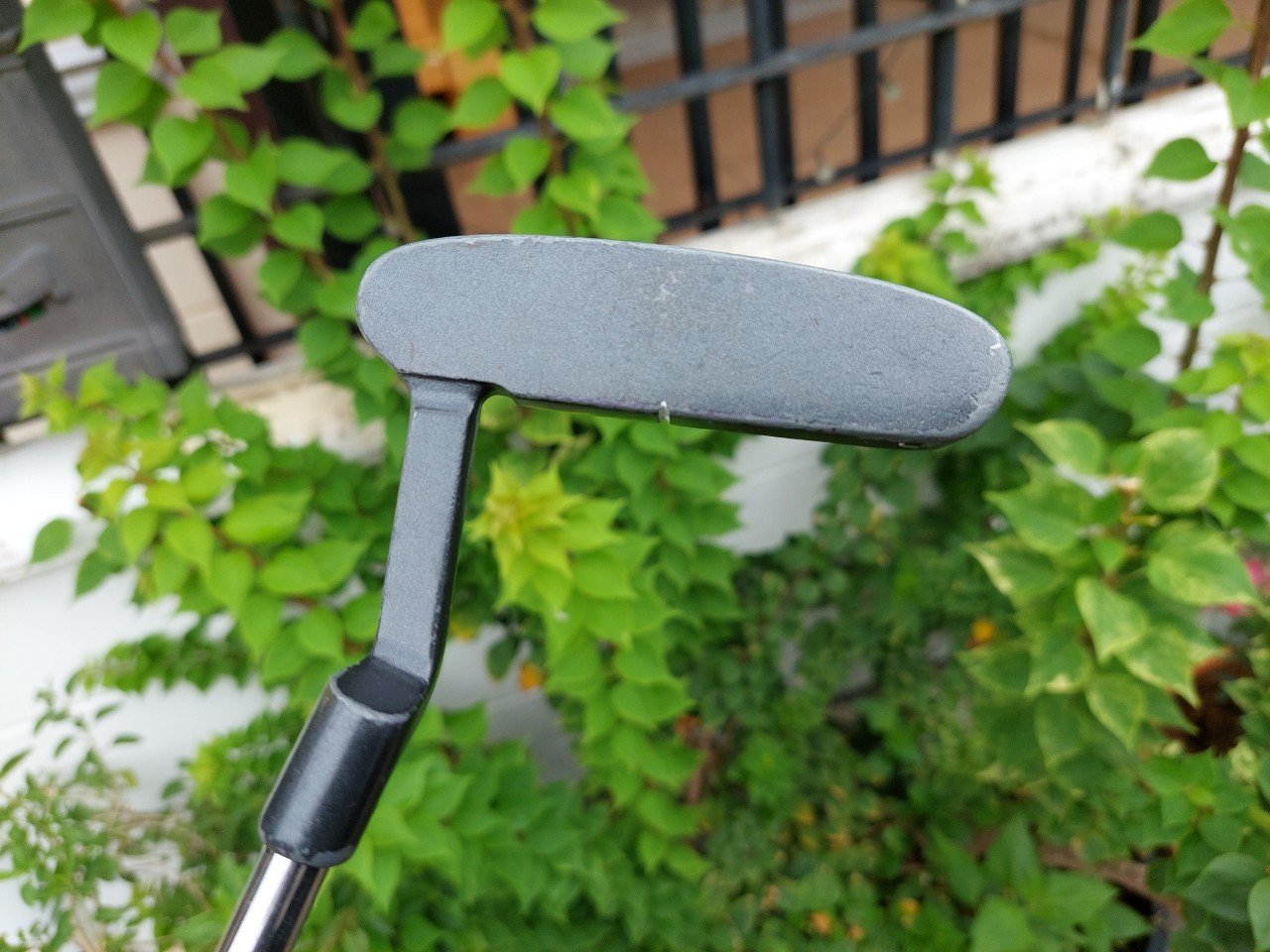 PUTTER LYNX BLACK CAT RG