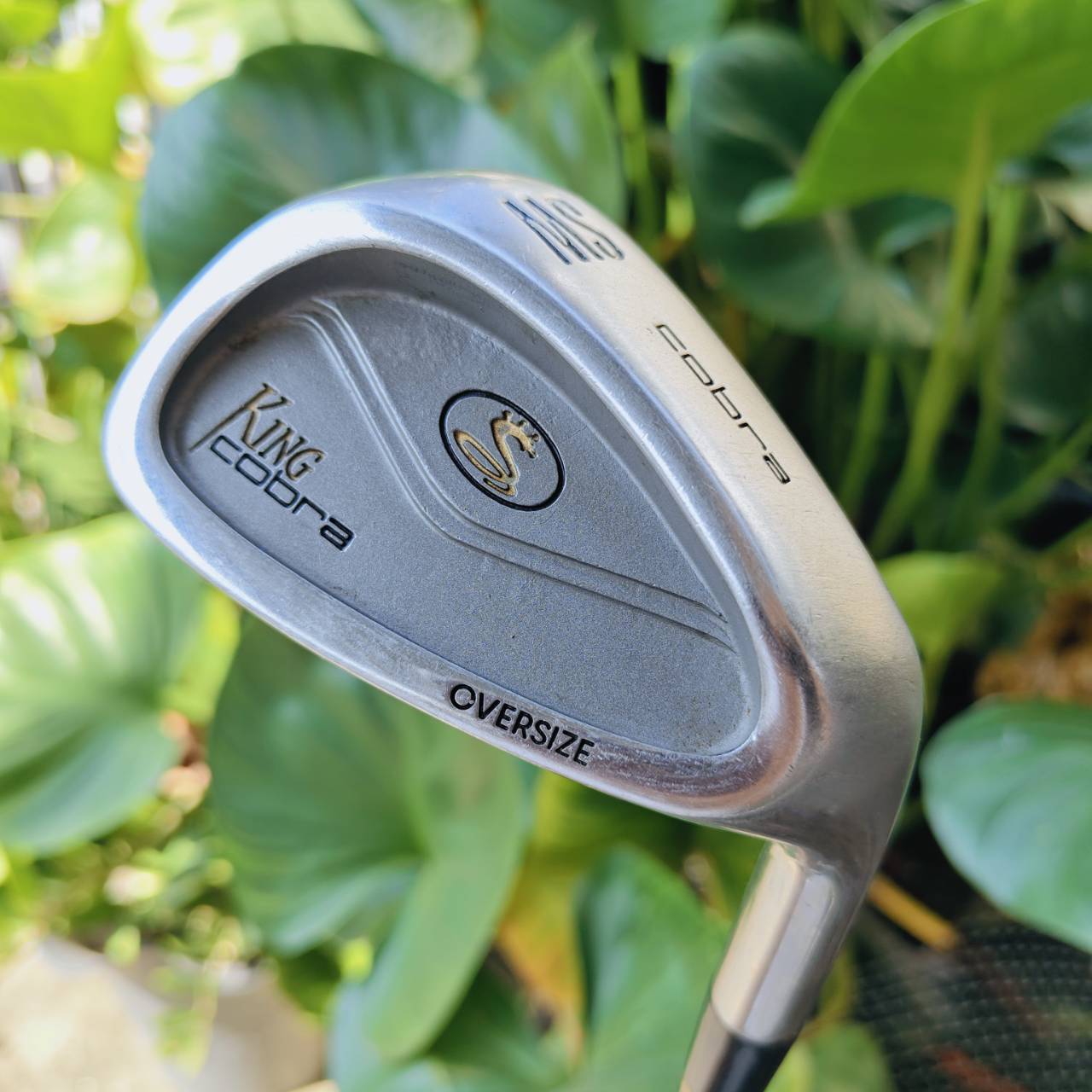 ชุดเหล็ก KING COBRA OVERSIZE ⛳ ครบเซตตีง่าย ฟีลนุ่ม เหมาะทั้งมือใหม่และผู้เล่นที่ต้องการความมั่นใจ!