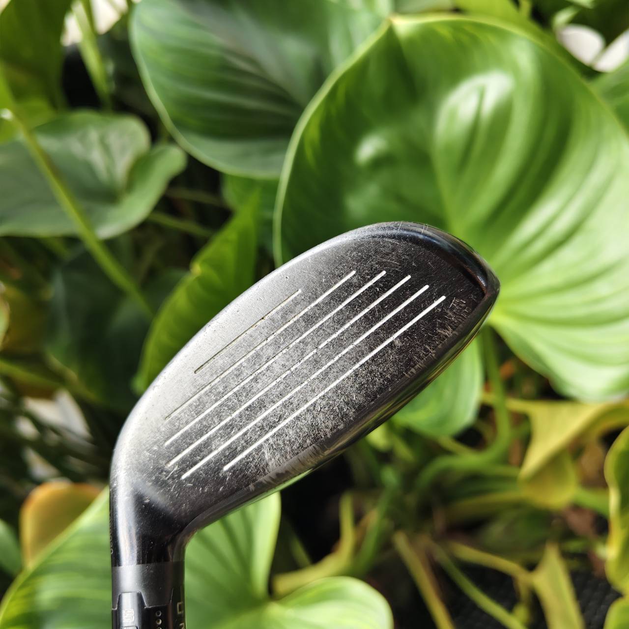 HYBRID TITLEIST H1 816 – องศา 21° “ตีง่าย เข้าลูกเนียน ควบคุมทิศดีมาก”