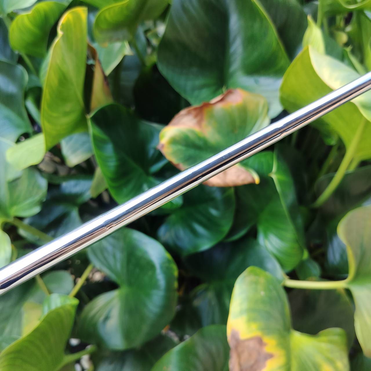 ไม้เหล็ก 7 รุ่น INESIS 100 จาก Decathlon เป็นตัวเลือกยอดนิยมสำหรับนักกอล์ฟมือใหม่ ไม้กอล์ฟพรีเมี่ยมมือสอง ของแท้ By NakaraLuxurious