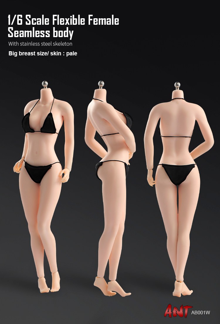 [สั่งจอง]ANT 1/6 Flexible Female Seamless Body Big Breast Size