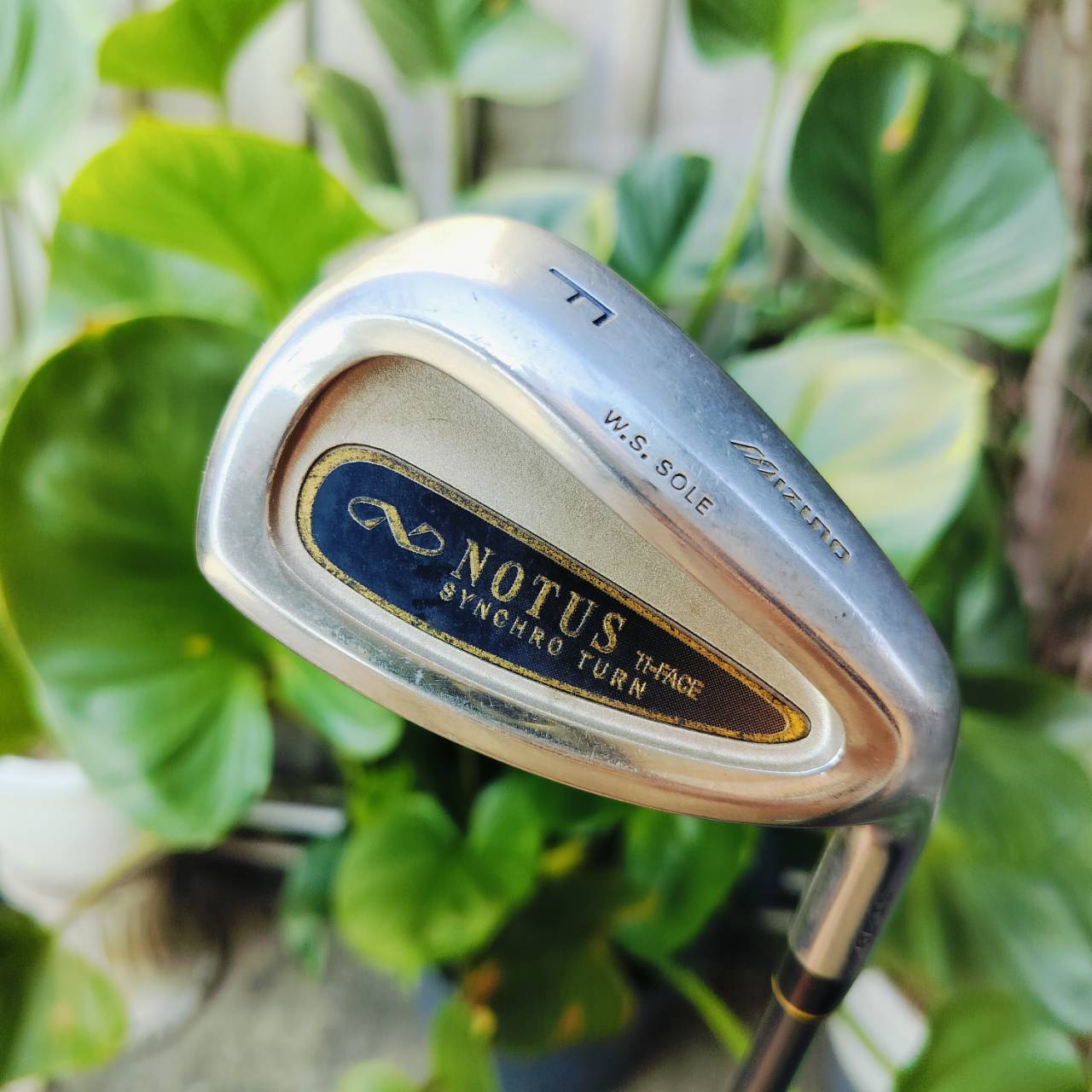 WEDGE เด้ง MIZUNO NOTUS FLOP WEDGE องศาประมาณ 58 มีแผ่นหน้าเด้งที่หน้าใบด้วยค่ะ ไม้กอล์ฟพรีเมี่ยมมือสอง ของแท้ By NakaraLuxurious