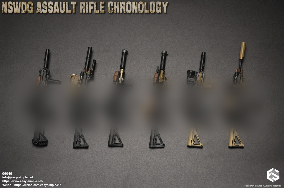 [สั่งจอง]Easy&Simple 1/6 : NSWDG Assault Rifle Chronology