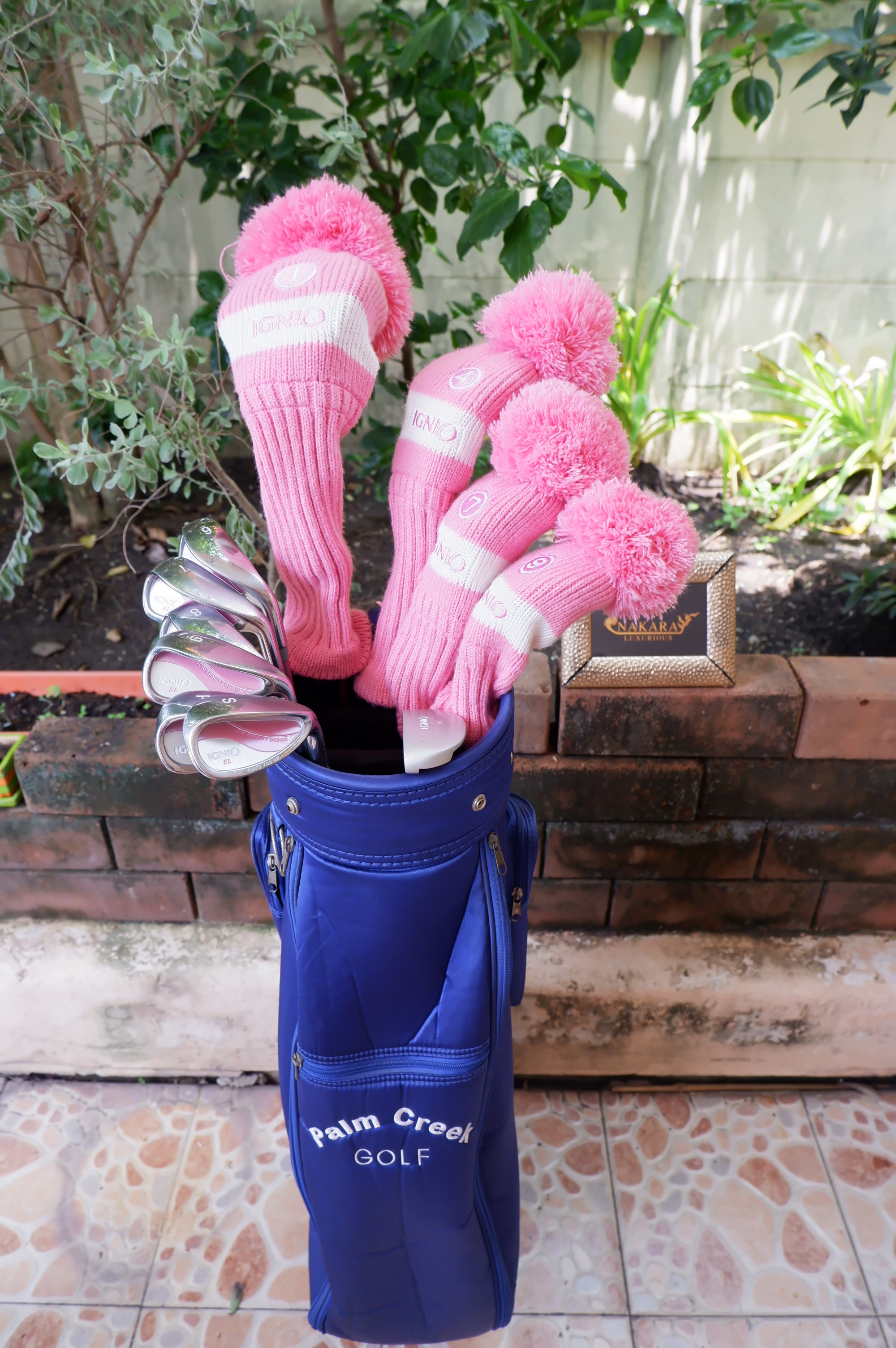 Full Set IGNIO FIRES YOU UP. EL