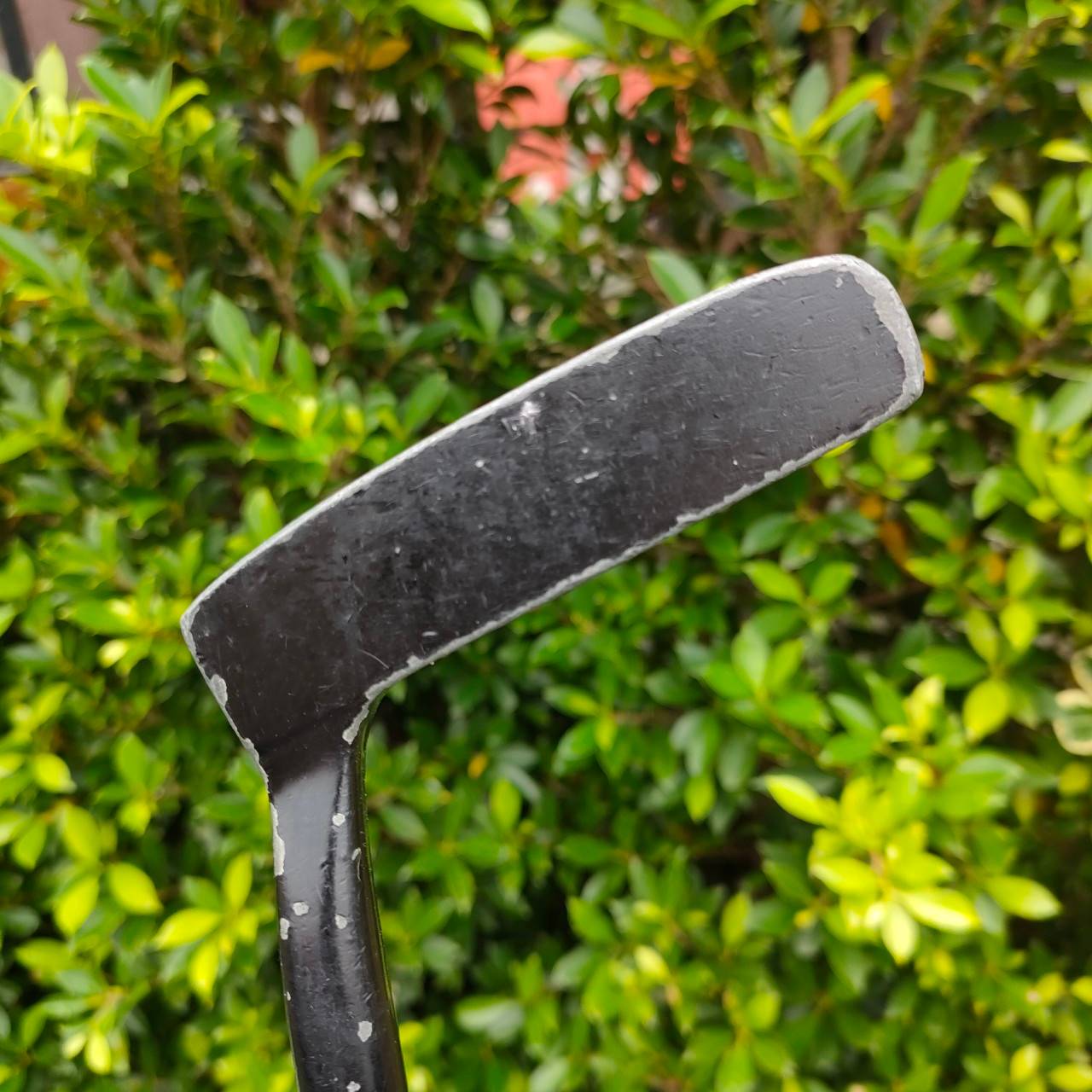 PUTTER AUGUSTA VI