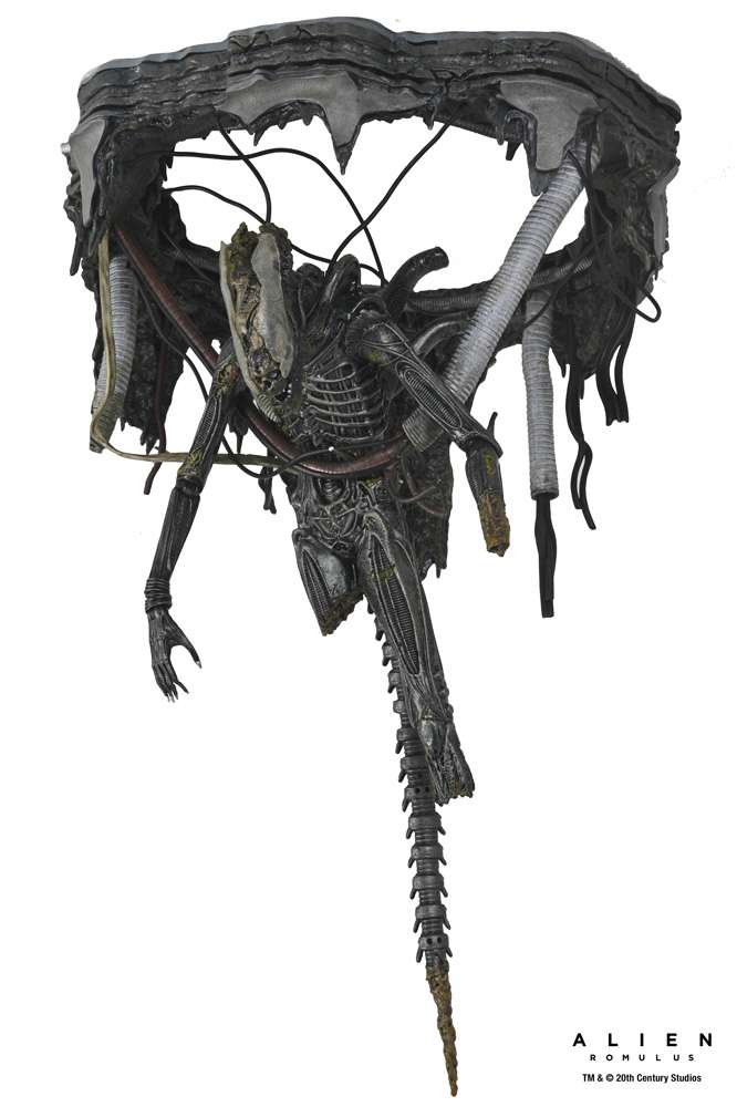 [สั่งจอง] NECA : Romulus Suspended Lab Xenomorph XX121