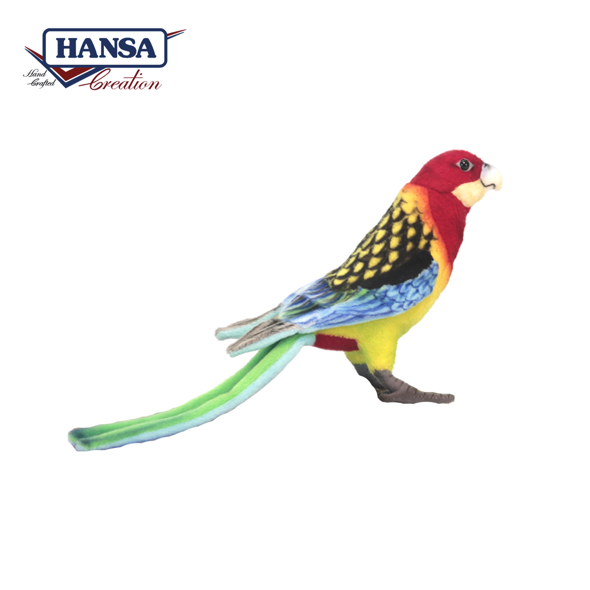 6234 Eastern Rosella 36 cm. L
